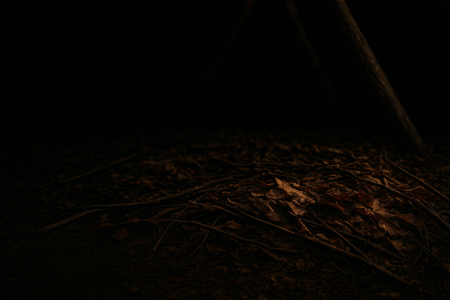 Close, textured shot of a thick layered ground bed of leaves and boughs inside a shelter frame, warm low-light contrast against dark surroundings, illustrating how to build a ground bed that keeps you warm.