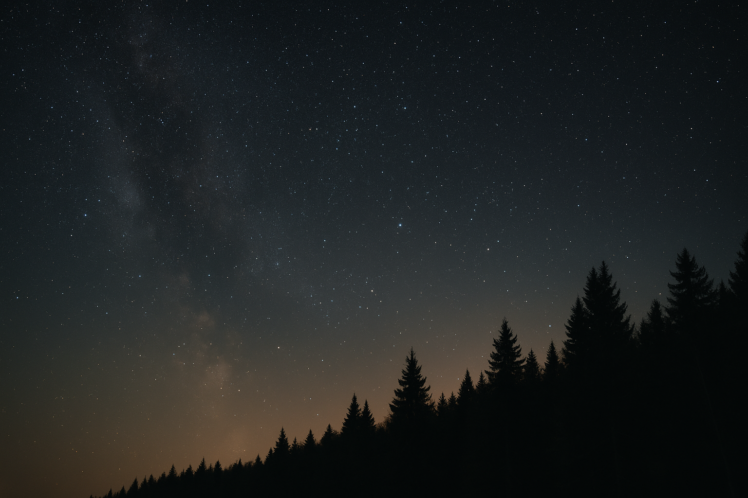 Wide night-sky shot over a dark treeline with visible stars, long exposure feel, dark and grounded tones, illustrating how to find north without a compass.